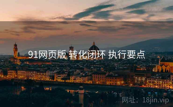91网页版 转化闭环 执行要点