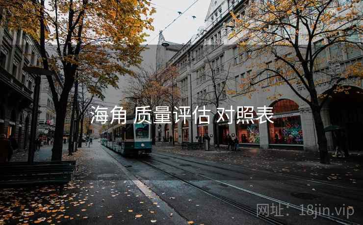 海角 质量评估 对照表