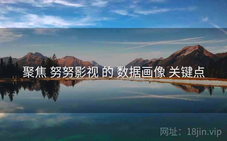 聚焦 努努影视 的 数据画像 关键点