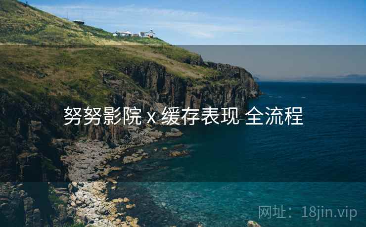 努努影院 x 缓存表现 全流程
