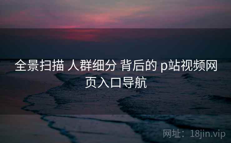 全景扫描 人群细分 背后的 p站视频网页入口导航