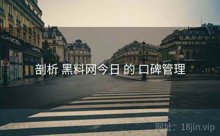 剖析 黑料网今日 的 口碑管理