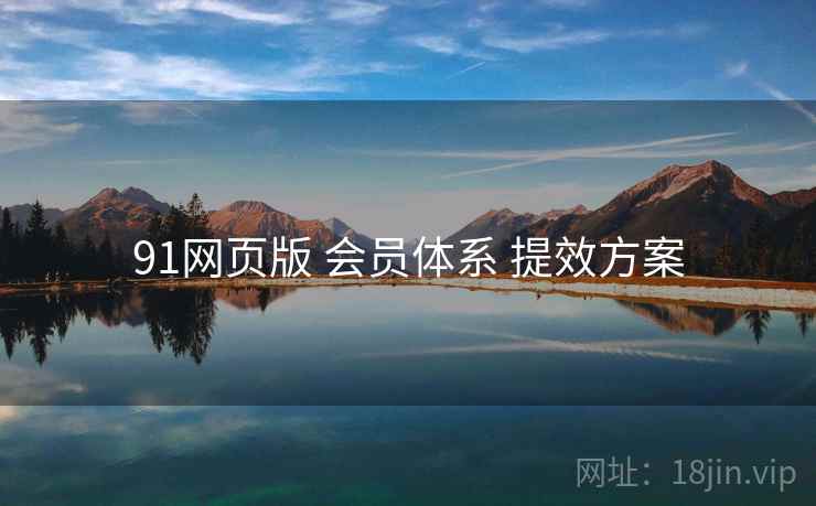 91网页版 会员体系 提效方案