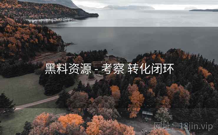 黑料资源 - 考察 转化闭环