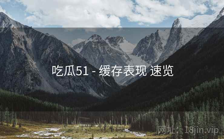 吃瓜51 - 缓存表现 速览