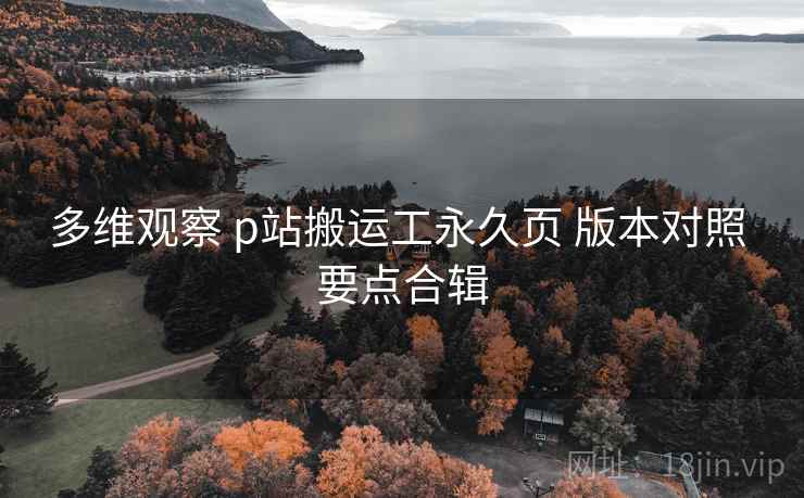 多维观察 p站搬运工永久页 版本对照 要点合辑