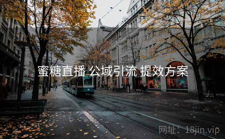 蜜糖直播 公域引流 提效方案