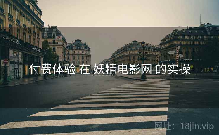 付费体验 在 妖精电影网 的实操