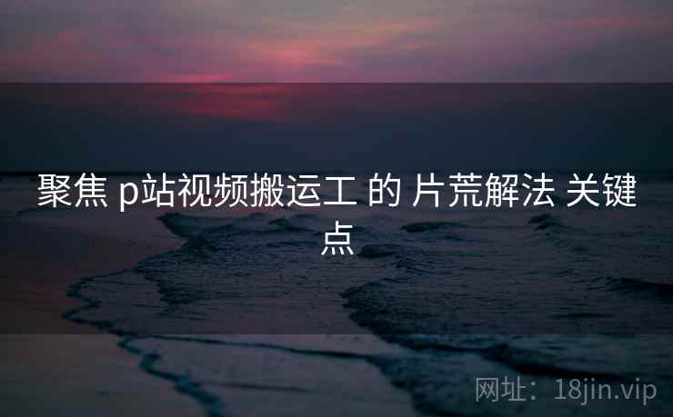 聚焦 p站视频搬运工 的 片荒解法 关键点