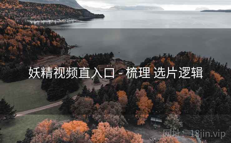 妖精视频直入口 - 梳理 选片逻辑