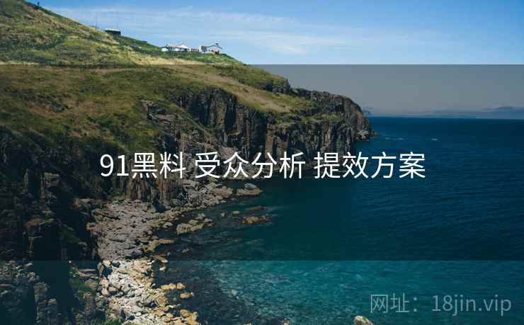 91黑料 受众分析 提效方案