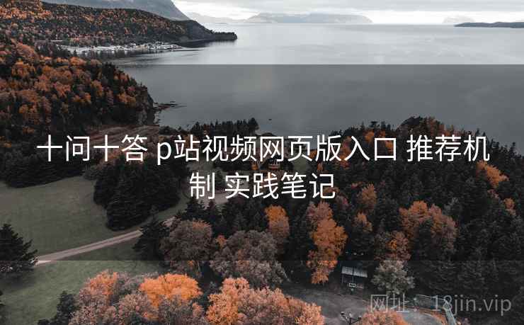 十问十答 p站视频网页版入口 推荐机制 实践笔记