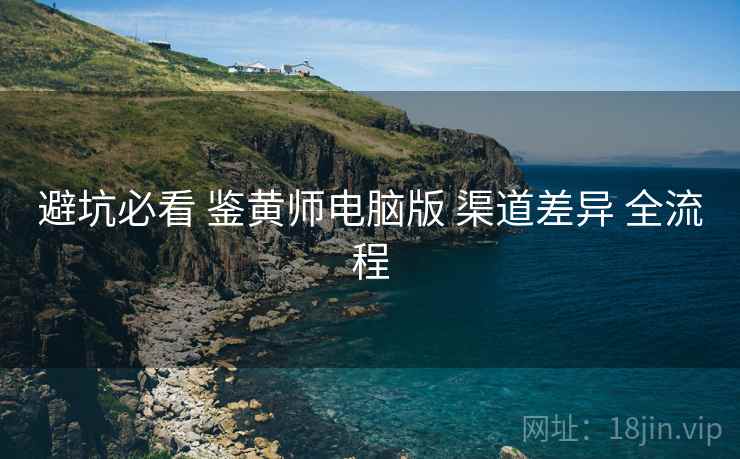 避坑必看 鉴黄师电脑版 渠道差异 全流程